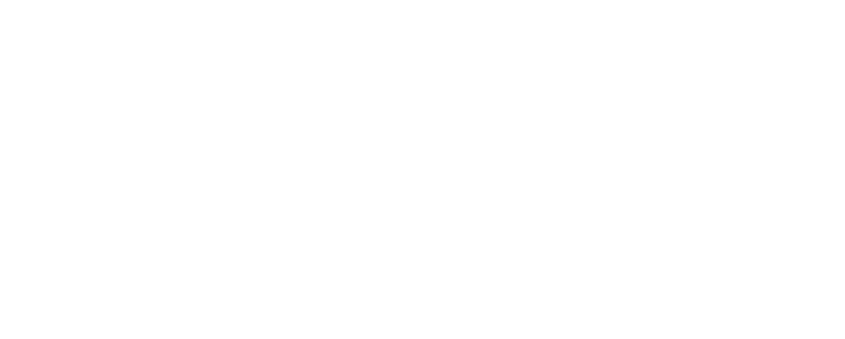 Roads & Transport Authority (RTA)